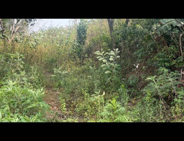 LAND FOR SALE IN SHALLCROSS